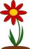 red flower